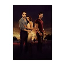 Twilight - Breaking Dawn 1