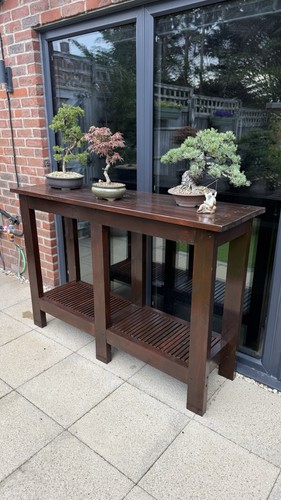 Wooden bonsai tree display - tree,