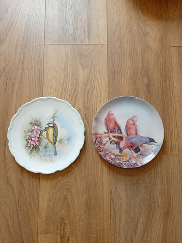 Bird collectors plates - bird,