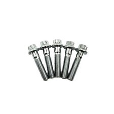 Split Rim Bolts M7x32mm BBS RS