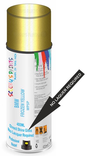 Paint for bmw frozen - paint,