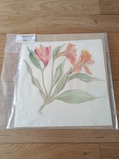 Original Pencil Sketch of A