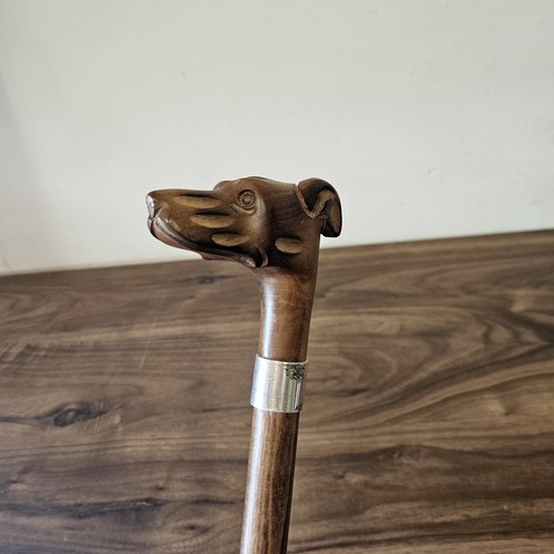 Greyhound dog walking - dog, stick
