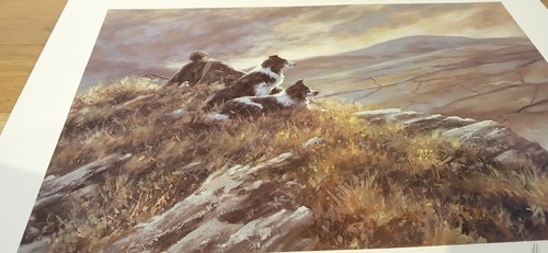 Mick cawston the guardians - mick, 'the