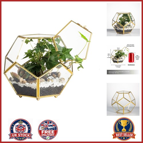 Pentagon glass terrarium - glass,