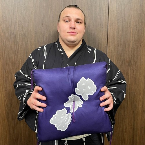 Aonishiki sumo zabuton - zabuton, cushion