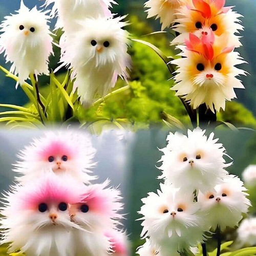 100pcs cat face - face, flower