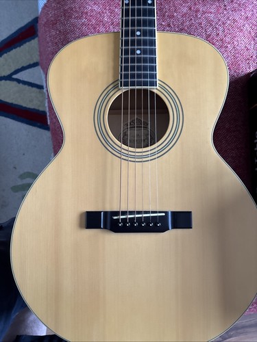 Washburn acoustic guitar - washburn, f8