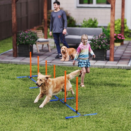 Pawhut dog agility training - pawhut,