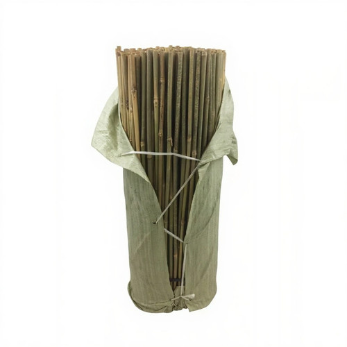 Bamboo canes 3ft thick - bamboo,