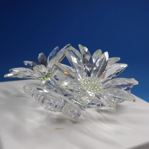 Swarovski crystal maxi - swarovski,