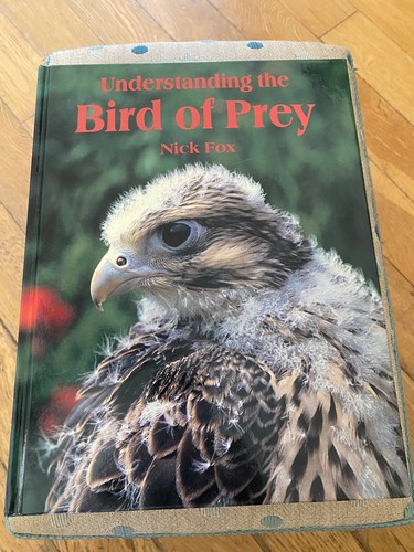 Understanding the bird prey - understanding, of