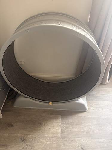 Cat exercise wheel - cat, treadmill