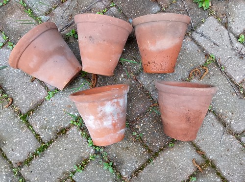 Vintage hand thrown terracotta - hand,