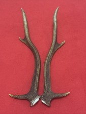 PAIR OF RED DEER ANTLERS 369g.   approx. 41/42cm.