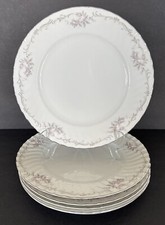 Gold Standard Dinner Plates