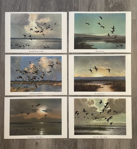 Peter scott waterfowl art - peter,