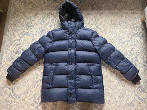 Canada goose black - goose,