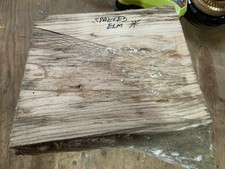 Spalted Elm Bowl Blank Wood