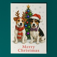 Jack Russell Dogs Merry