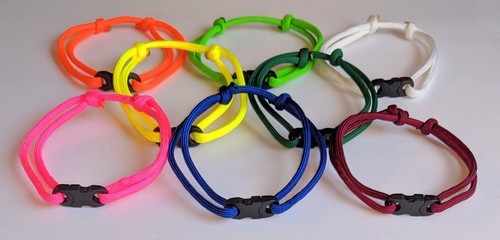 Puppy litter whelping collars - puppy,