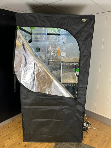 Mushroom grow tent for growing - for,