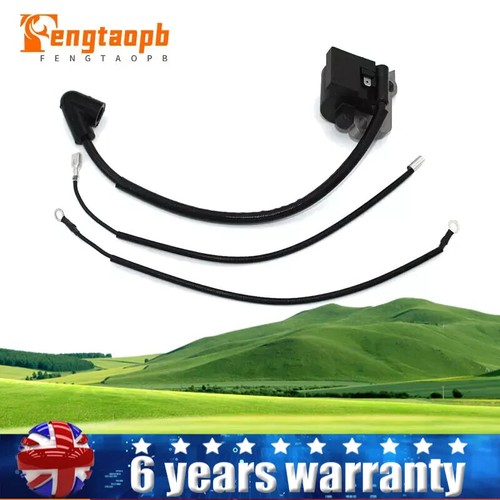 Ignition coil for - ignition,
