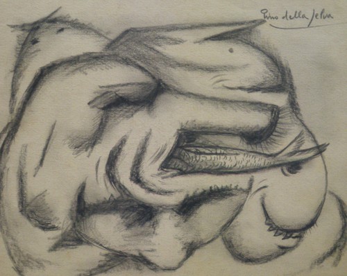 Pino della selva - della,
