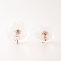 Glass paperweight flower - glass,