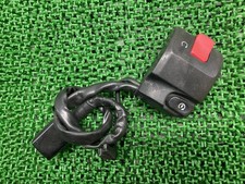 Genuine Kawasaki NINJA250R