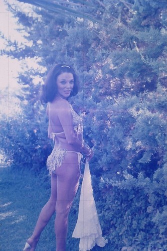 Joan collins x - collins, 12"