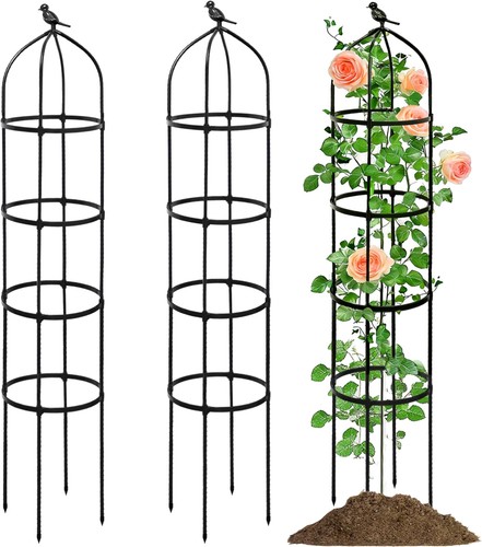 Packs garden obelisks for - packs,
