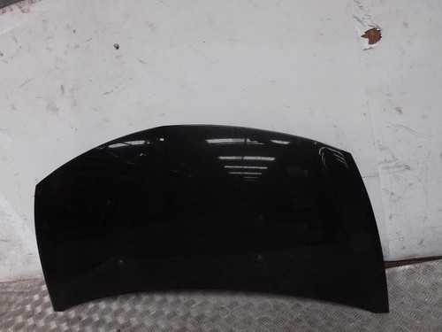 Renault clio bonnet paint - paint, code