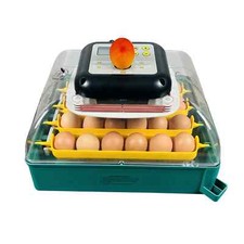 Automatic Digital Eggs