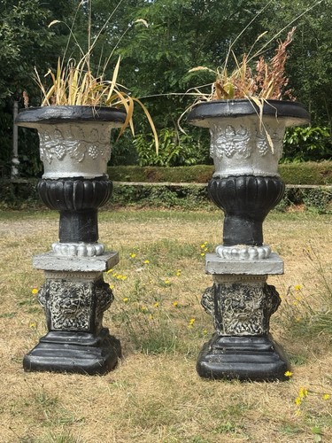 Classical grape vine - classical,
