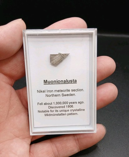 Muonionalusta meteorite slice