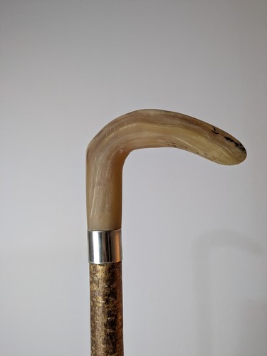 Shepherds crook rams horn - rams,