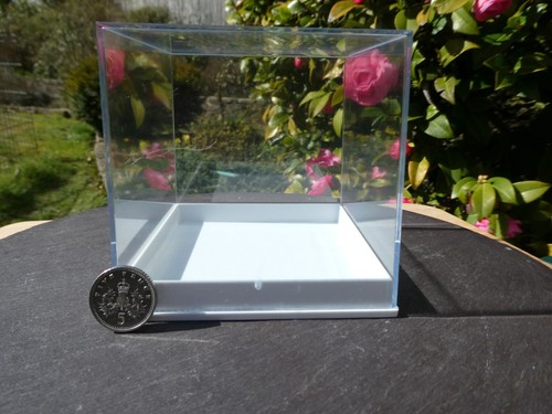 Large perspex clear lid square - lid,