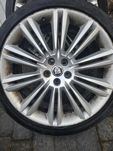 Genuine jaguar kasuga inch - kasuga, 20