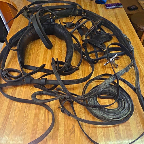 Complete driving harness