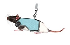 Trixie Soft Harness for Rats &