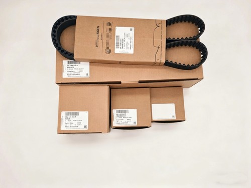 Oem timing belt - oem, water