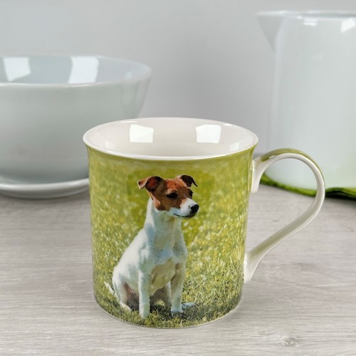 Jack russell dog - russell,