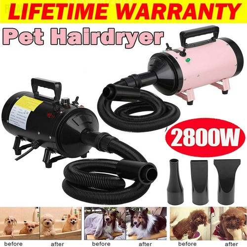 Dog hair dryer blaster pet - hair,