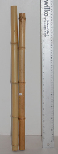 Bamboo poles reptiles - bamboo, poles,