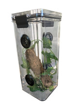 Praying Mantis,Stick Insect,Tall Arboreal, Vented, Reptile,Cage,Tank,Enclosure.