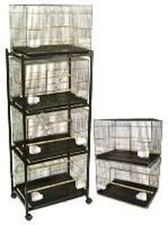 Lot of 6 of Aviary Breeding