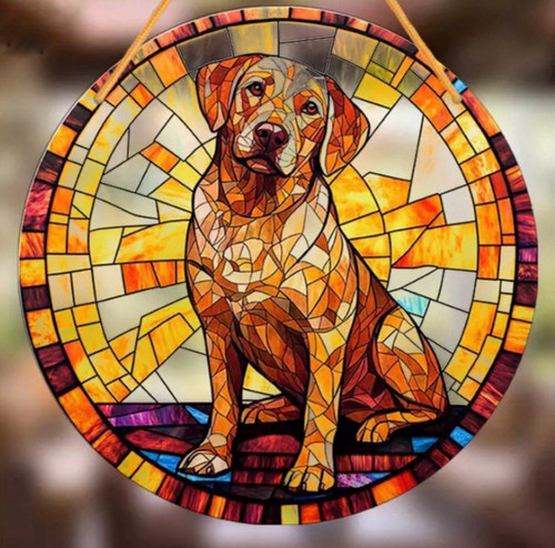 Labrador yellow dog - yellow, lover