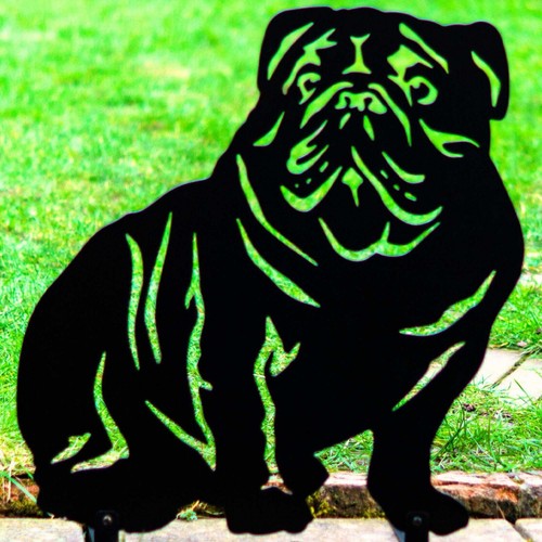 English bulldog dog - english, gifts