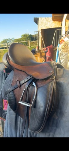 Farringtons brown 17inch jump - farringtons,